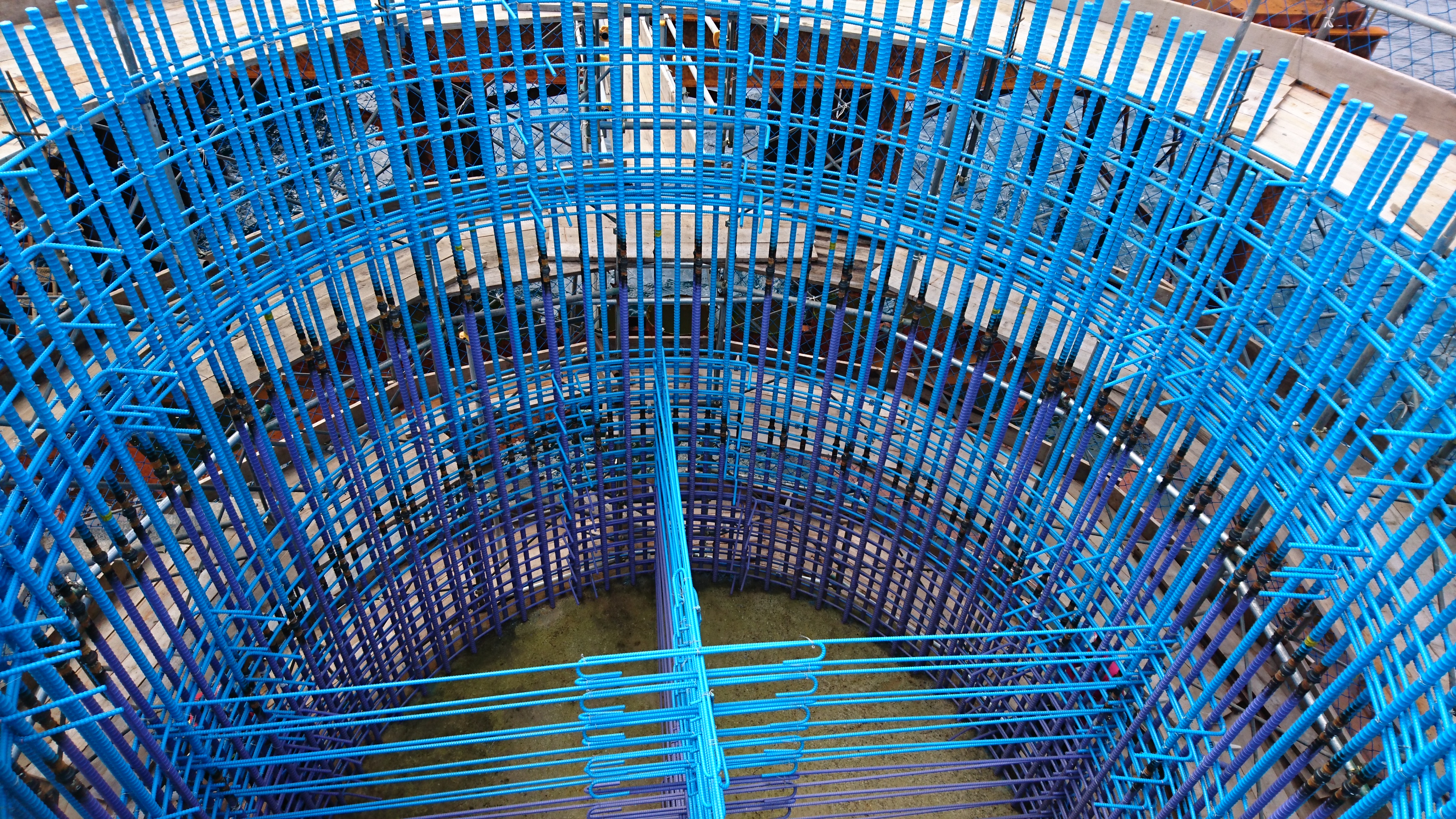 DSC_0232